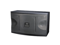 WVNGR Wig AT-308 310 605 meeting KTV speaker Karaoke speaker professional stage speaker