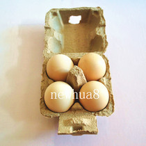  4 egg trays 4 Pulp egg Boxes 4 Earth eggs Earth Duck egg trays 4 yellow pulp egg trays