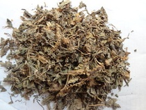 Chinese herbal medicine market Chinese herbal medicine plantain 500g