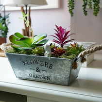 Multi-meat potted plant simulation plant Home Ornament Living Room Pendulum fake flower potted creative home Decorative Flower Suit