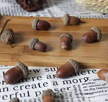 Natural acorn photography props background high forest dried flowers and dried fruits material shooting props
