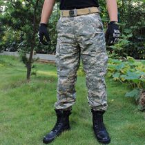 Multi-terrain ACU camouflage pants wear-resistant mountaineering pants military fans casual overalls personality military pants Plaid anti-scratch cloth