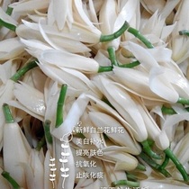 Fresh white orchid flowers Every year 6-11 months Flowers to extract white orchid essential oil pure dew floral material special