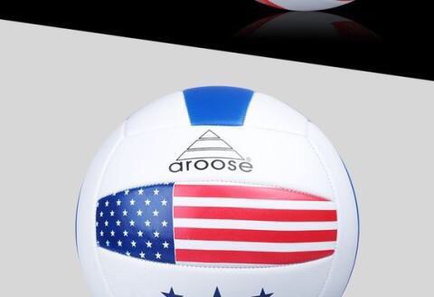 Ballon de volley-ball - Ref 2009480 Image 11