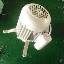 Safetec Germany HANING motor 110 and 220 voltage are repaired