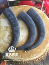 Horns True horns Buffalo horns Taoist horns Black horns Taoist Taoist Dojo Dharma