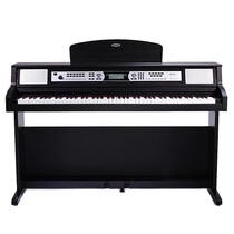 Maitri New Practice Professional DP 166 DP 320 DP 369 digital piano Anshan Baiwan piano