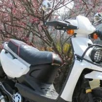 Female Motorcycle 1MBS Duck Heavlamp Panel Front Foot Pedal Inner Case Accessories such as Case Accessories