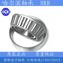 Harbin tapered roller 32203 32203 32204 32205 32206 32207 32207 32208 HRB