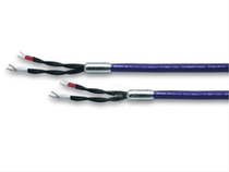 Electric royalizers oyaide Eurasian to OR-800A Y-shape the single crystal copper horn line speaker line 3m