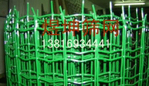 Factory direct sales Dutch net slope protection net dipped welded net Breeding net Fence fence net barbed wire