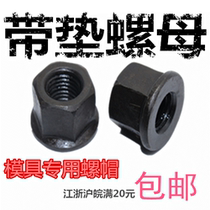 Mould special with pad nut flange nut with T-screw M10M12M14M16M18M20M22M24