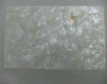 Natural insect eye pearl shell paper home creative decoration lacquerware instrument art snail nail sticker