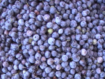 Xinganling wild blueberry fresh fruit No Sugar Blue plum fruit 700g blueberry puree original flavor blueberry fruit snack