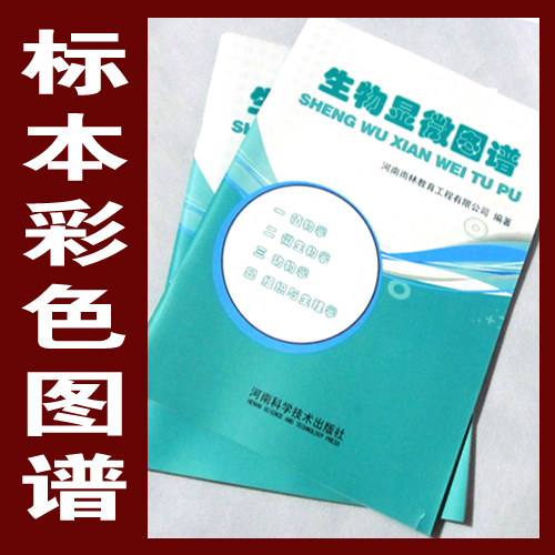 彩色图谱显微镜用生物玻片标本  包邮