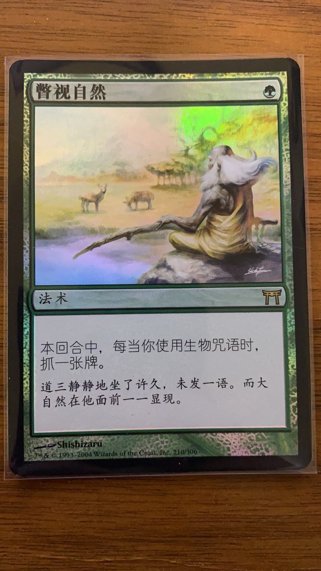 Wanzhi Link of Nature Highness River Group English Record in Shinko COK