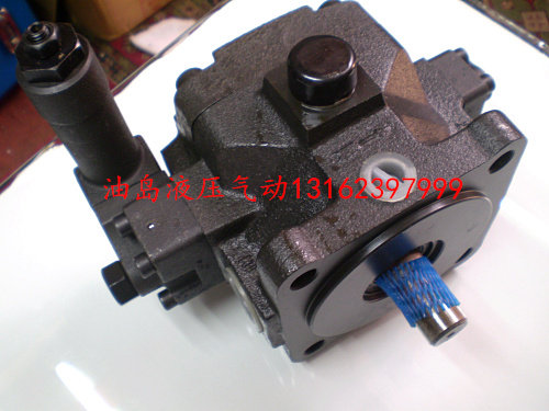 Toshitai Oil Pressure Pump Hydraulic Station Hydraulic System 140KG High Pressure Variable Vane Pump HVP-40 HVP40