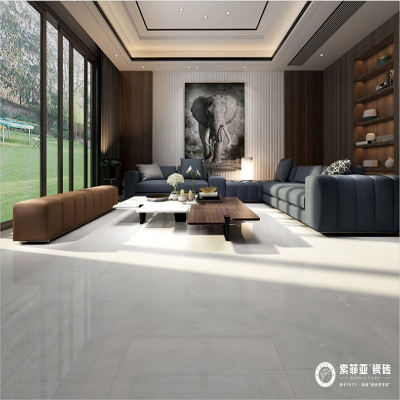 GOG GOG-Sophia-brightness 600*1200 ABP ash SL61206