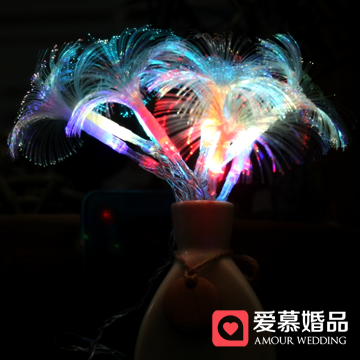 Amour Wedding�߲�Сҹ��CD11