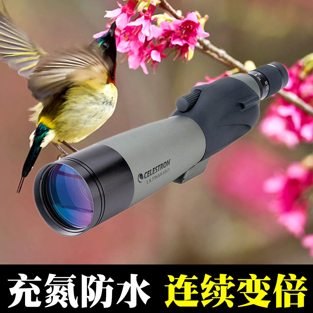 Startron Monocular Telescope C20-60X80B View Bird Mirror High HD Level View