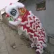 Взрослый № 3 белые волосы красный фон