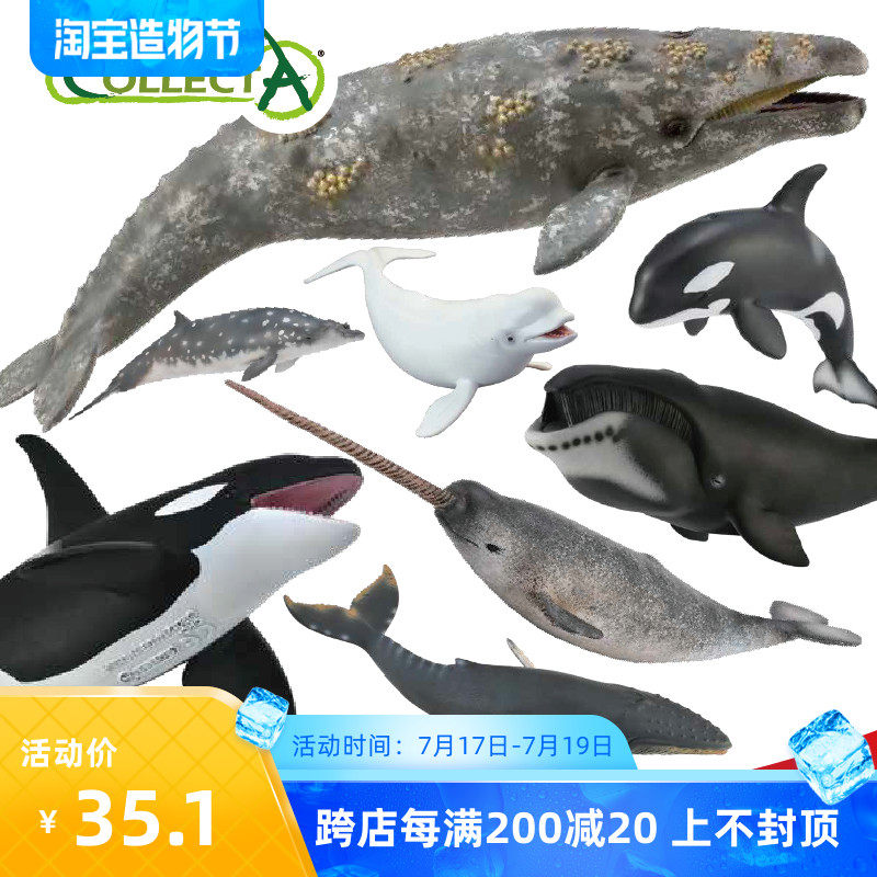 CollectA whale Marine life model toy One-horned whale Killer whale Smear head whale Ocean toy