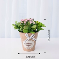 Цветок розового цилиндра