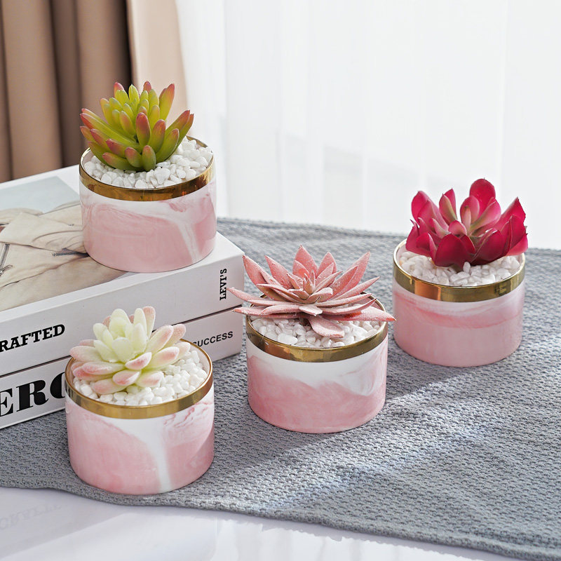 Simulation plant flower pot planting green planting small bonsai living-room indoor multi-meat pendulum pieces mesh red pink furnishing interiors