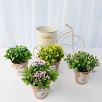 Набор цилиндрических фруктов