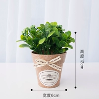 Зеленый цилиндрический фруктовый цветок