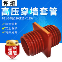 Xu Rong TG1-10Q210(125×125)high voltage epoxy resin wall casing 10KV epoxy cabinet casing