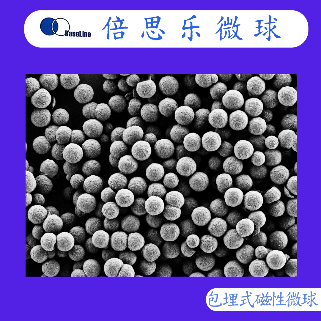 磁性微球/二氧化硅磁性微球/SLE磁性微球/包埋式/微米/耐化学溶剂