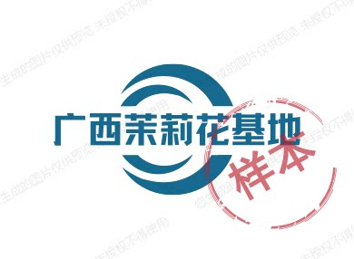 广西茉莉花基地