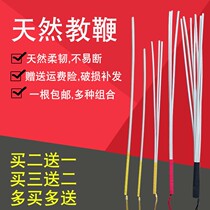 Vine Dogg Whip Home Soft Teacher Female Private Tutor Cane Whip Bamboo Whip Explaining The Baton Creative Teaching Stick Teacher Use