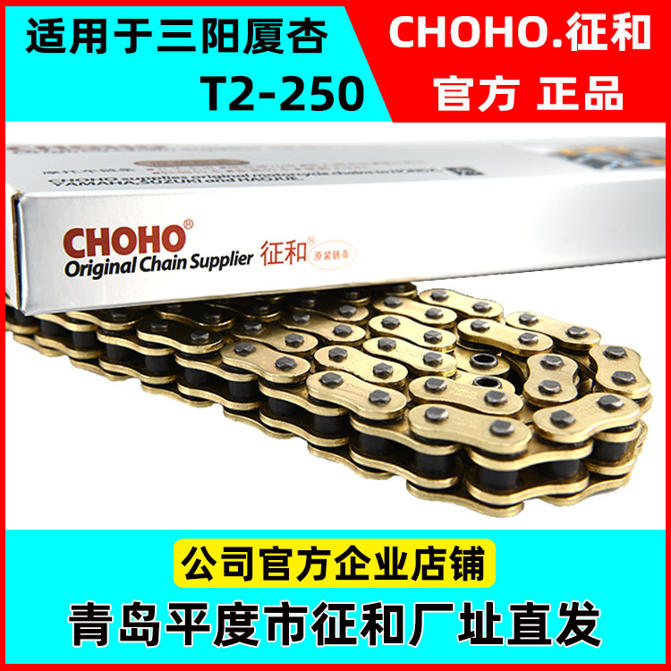 Suitable for Sanyang Xia Xing T2-250 locomotive and original high-end mute thickened super oil seal chain