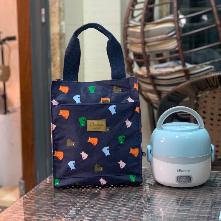 Han Style Large Capacity Aluminum Foil Insulation Lunch Box Bag Lunchbox Boxed Oxford Cloth Ice Pack Little Clear New Hands Carry Bags To Work With Meals