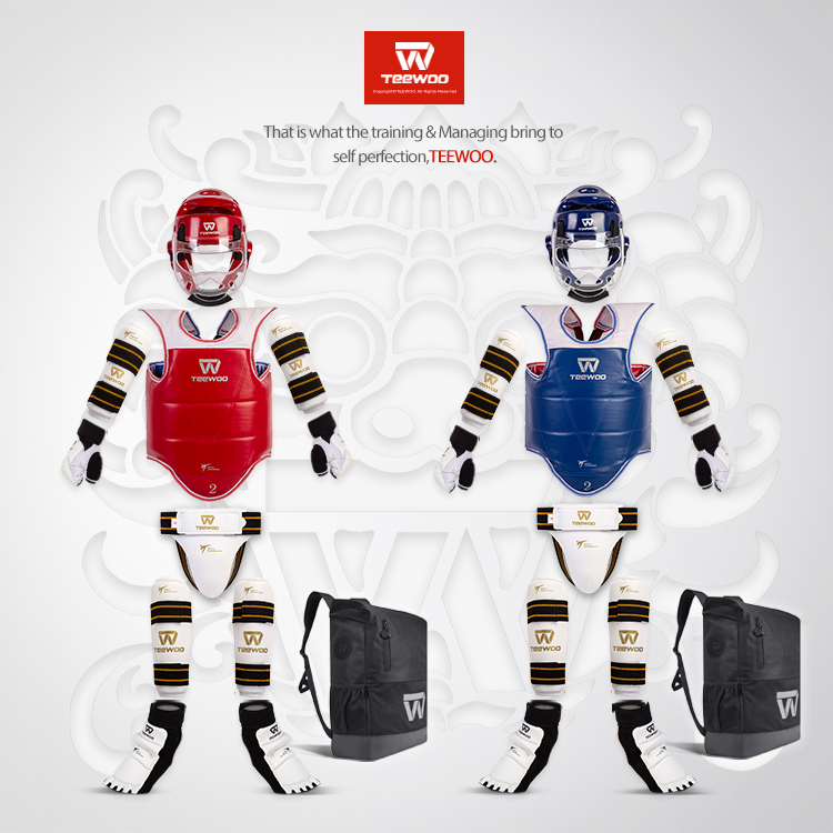 Daolang TEEWOO テコンドー防具 8 10点セット ハンドガード フットガード レッグガード アームガード ヘッドガード チェストガード クロッチガード
