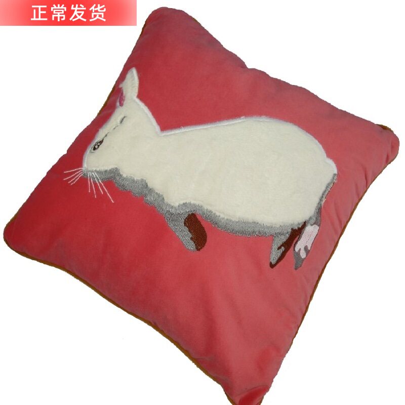 Velvet Plush Pillow Cover Without Beige Embroidered Pillow Sofa Cushion With Core Square Factory Outlet