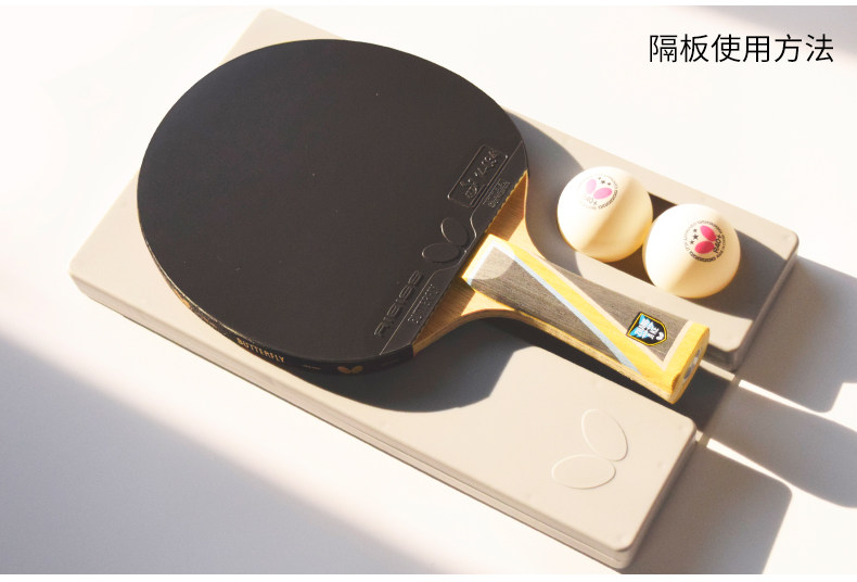 Детали классической модели Чжан Цзике_23.jpg