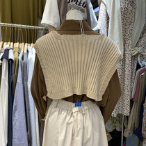 South Korea Dongdaemun early autumn new solid color wild temperament Korean version 2021 multi-functional warm knitted shawl collocation