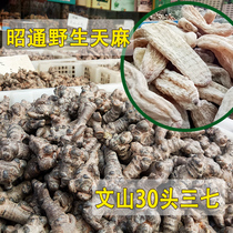 Pure Panax authentic Yunnan pure panax powder Tianma tablets Yunnan Wild Tianma superfine powder Premium wild