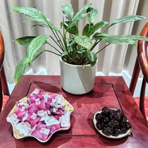 Huzhou Specialty Good Luck Candied Prunes 250g Bulk Individual Pack Casual Office Snacks