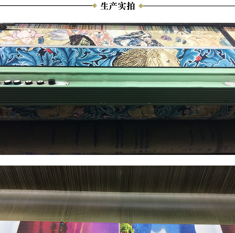 Trường học mới Bỉ Tấm thảm hiên hành lang tấm thảm Jacquard Klimt "Người phụ nữ rắn nước" thảm treo tường 2m