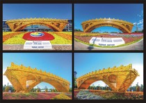 Silk Road Golden Bridge postcard can make extreme films