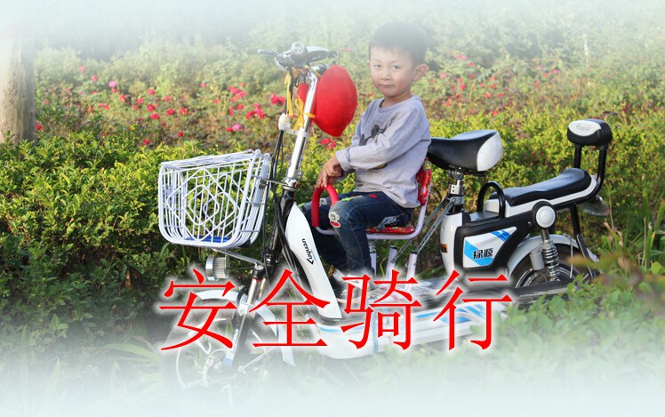 siège enfants pour vélo - Ref 2429012 Image 6