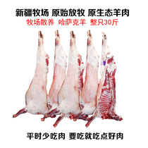 Xinjiang Kazakh lamb 30 fresh whole lamb raw lamb leg lamb chops White sheep whole sheep Whole sheep