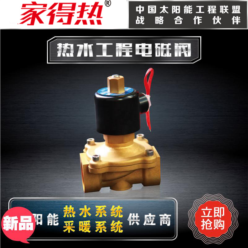 All copper solenoid valve normally closed water valve air valve copper coil AC220V pure copper body 253240