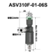ASV310F-01-06S