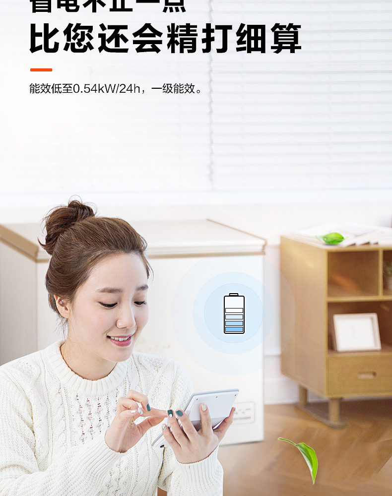 Tủ đông lạnh công suất lớn Midea / Midea BD / BC-203KEM (E) - Tủ đông tủ đông alaska