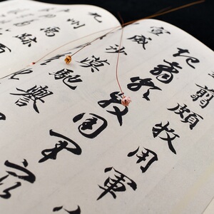 智永真草千字文 华夏万卷 编 正版书籍 新华书店旗舰店文轩官网 湖南美术出版社